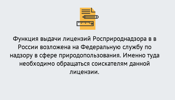 Почему нужно обратиться к нам? Киселёвск Лицензия Росприроднадзора. Под ключ! в Киселёвск