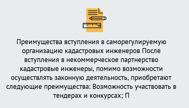 Почему нужно обратиться к нам? Киселёвск Что дает допуск СРО кадастровых инженеров?