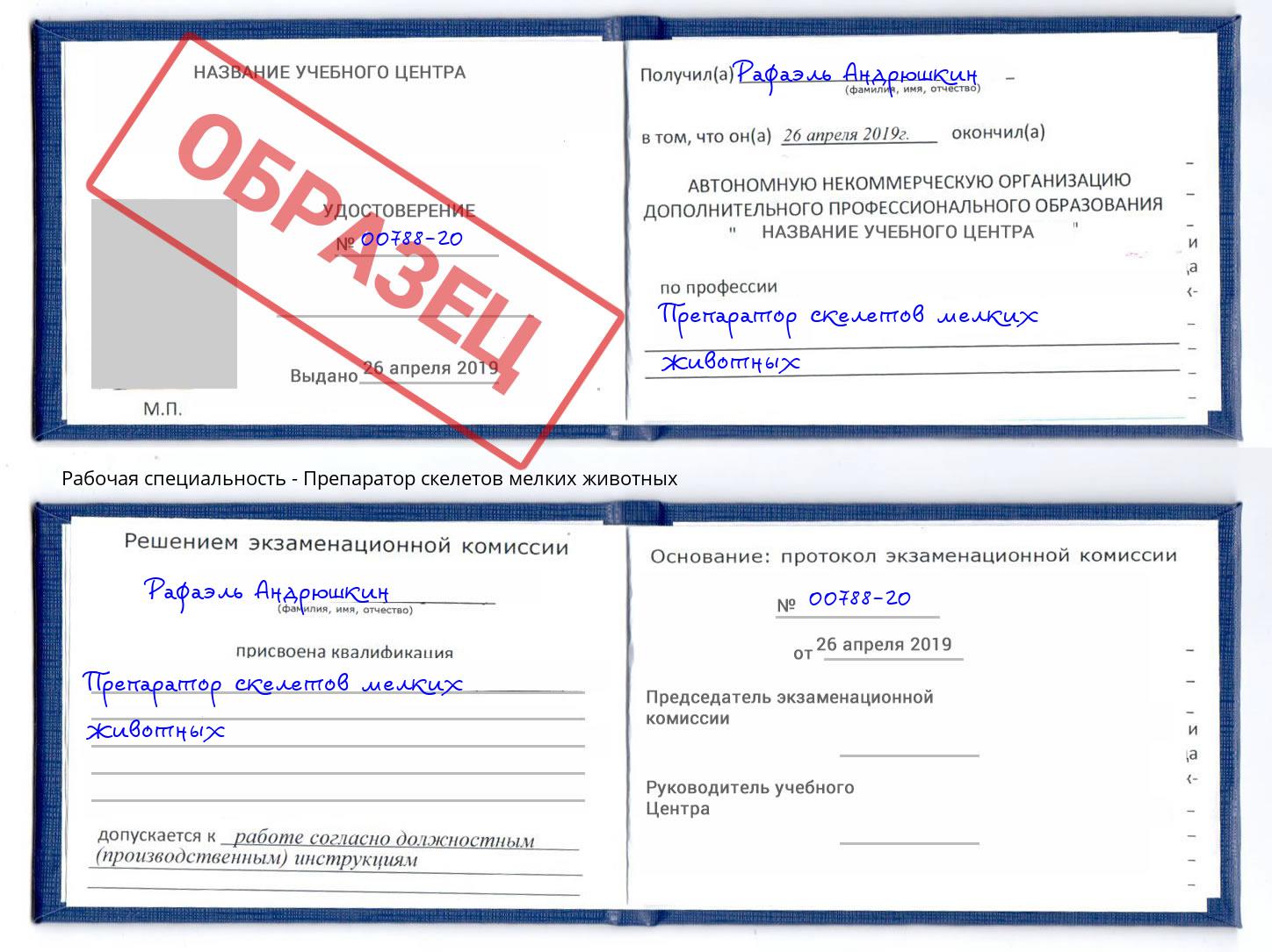 Препаратор скелетов мелких животных Киселёвск