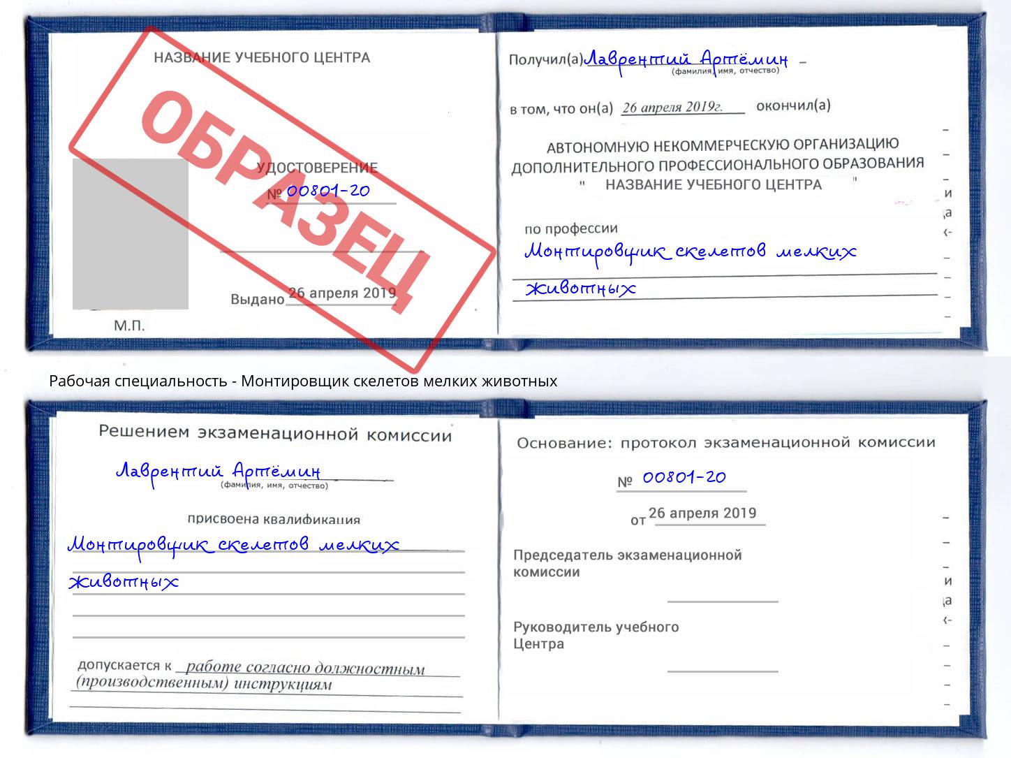 Монтировщик скелетов мелких животных Киселёвск